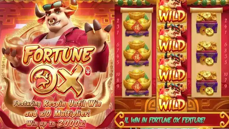เล่นเกมสล็อต Fortune OX กับ ambet357 เว็บพนันออนไลน์ที่ดีที่สุดในเอเชีย